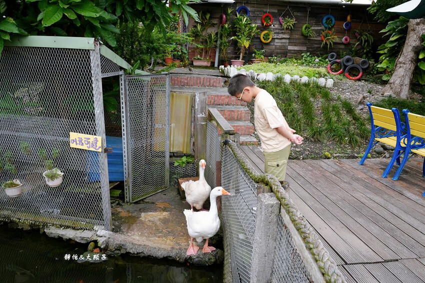 宜蘭親子農場,廣興農場,動物餵食、焢窯、 摸蜆、DIY體驗、
