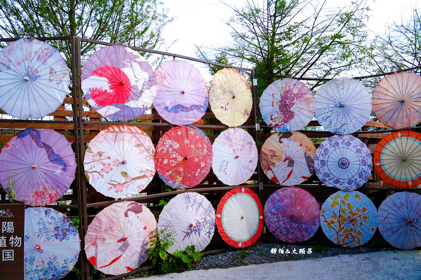 蘭陽動植物王國 ❙ 澳洲袋鼠近距離互動、兔豚鼠、水豚森林浴，