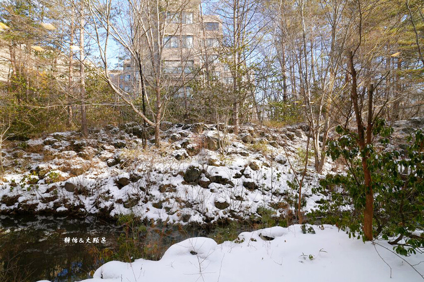 輕井澤1130飯店,溫馨四人房寬敞舒適、自助餐螃蟹吃到飽,輕