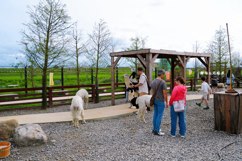 蘭陽動植物王國 ❙ 澳洲袋鼠近距離互動、兔豚鼠、水豚森林浴，