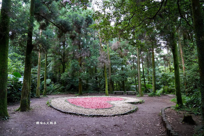 竹子湖黑森林 ❙ 森林系美拍、北部熱門婚攝景點,陽明山打卡秘 竹子湖黑森林 ❙ 森林系美拍、北部熱門婚攝景點,陽明山打卡秘