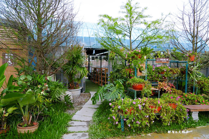 蘭陽動植物王國 ❙ 澳洲袋鼠近距離互動、兔豚鼠、水豚森林浴，