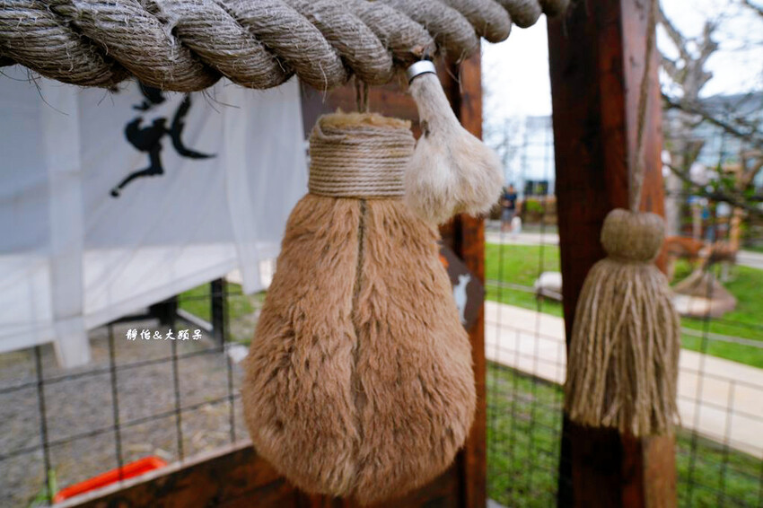 蘭陽動植物王國 ❙ 澳洲袋鼠近距離互動、兔豚鼠、水豚森林浴，