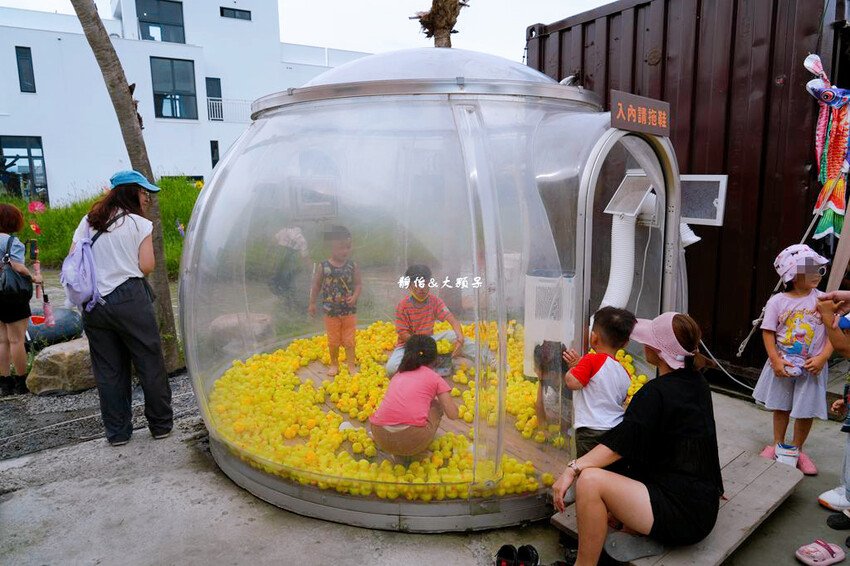 蘭陽動植物王國 ❙ 澳洲袋鼠近距離互動、兔豚鼠、水豚森林浴，