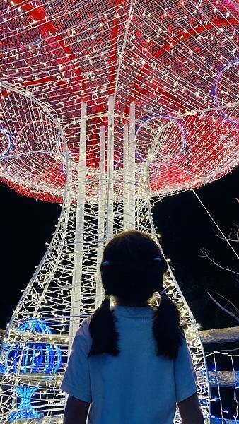 IMG_6691.jpg IMG_6691.jpg