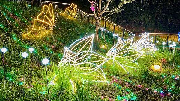 IMG_6666.jpg IMG_6666.jpg