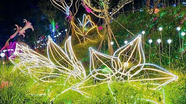 IMG_6670.jpg IMG_6670.jpg