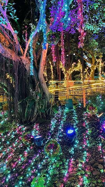 IMG_6715.jpg IMG_6715.jpg