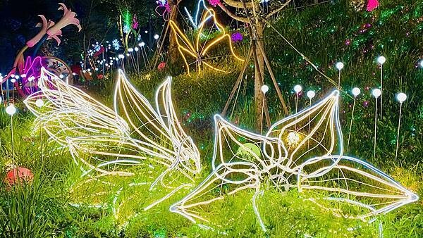 IMG_6669.jpg IMG_6669.jpg