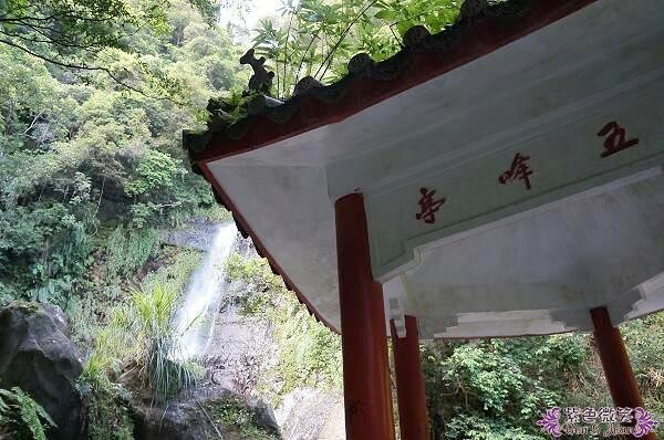 宜蘭縣礁溪鄉五峰旗瀑布＋抺茶山》爬山戲水烤肉好去處，瀑布步道輕鬆好走適合親子踏青！攻頂有著抺茶景色的一日郊山！