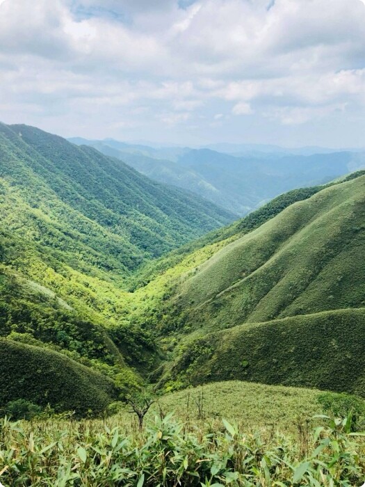 宜蘭縣礁溪鄉五峰旗瀑布＋抺茶山》爬山戲水烤肉好去處，瀑布步道輕鬆好走適合親子踏青！攻頂有著抺茶景色的一日郊山！