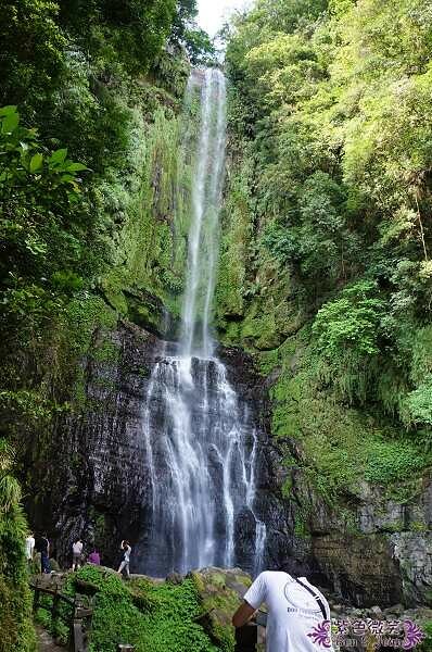 宜蘭縣礁溪鄉五峰旗瀑布＋抺茶山》爬山戲水烤肉好去處，瀑布步道輕鬆好走適合親子踏青！攻頂有著抺茶景色的一日郊山！