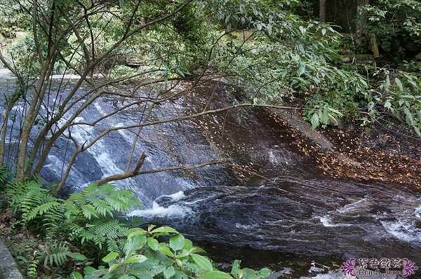 宜蘭縣礁溪鄉五峰旗瀑布＋抺茶山》爬山戲水烤肉好去處，瀑布步道輕鬆好走適合親子踏青！攻頂有著抺茶景色的一日郊山！