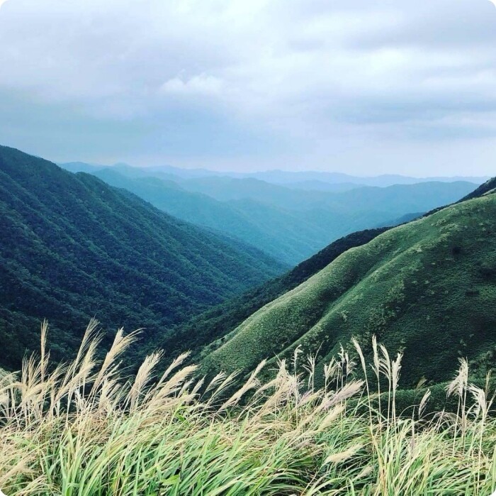 宜蘭縣礁溪鄉五峰旗瀑布＋抺茶山》爬山戲水烤肉好去處，瀑布步道輕鬆好走適合親子踏青！攻頂有著抺茶景色的一日郊山！