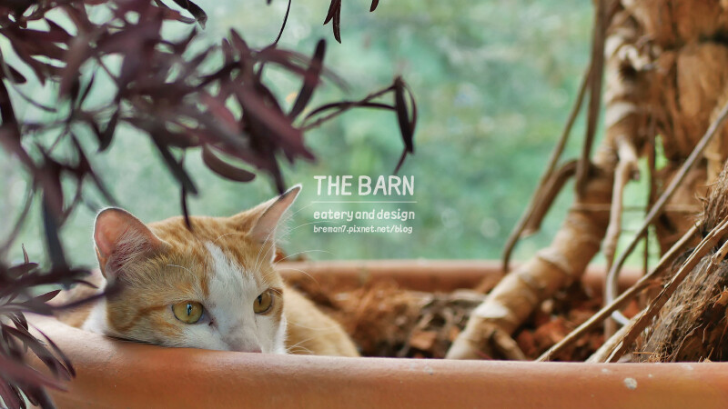 theBARN-14