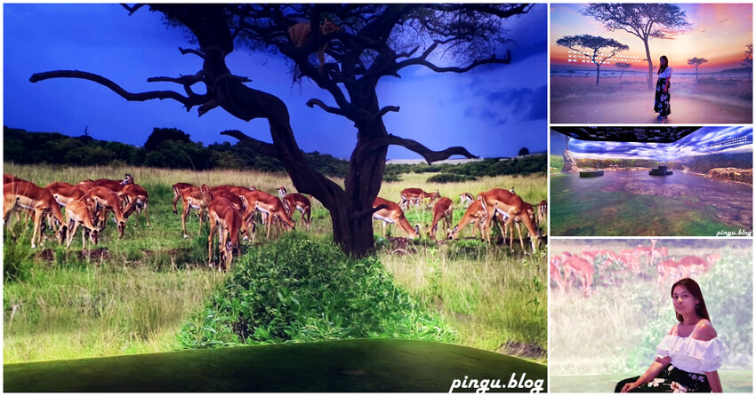 澳門澳門永利皇宮|澳門必玩景點 纜車/水舞秀免費欣賞 結合中國及歐陸風格的度假酒店