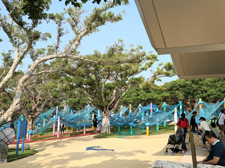 日本海洋博公園-沖繩美麗海水族館(美ら海水族館):必訪黑潮之海大水槽/巨大鯨鯊在你眼前悠游.超壯觀