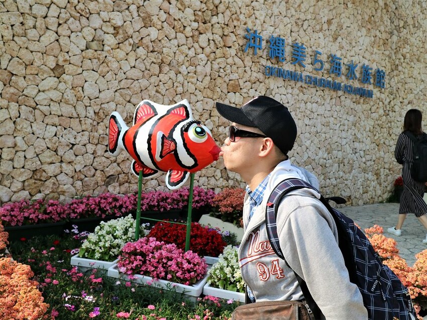 日本海洋博公園-沖繩美麗海水族館(美ら海水族館):必訪黑潮之海大水槽/巨大鯨鯊在你眼前悠游.超壯觀
