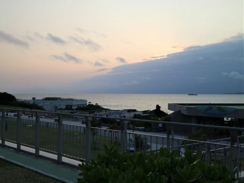 日本海洋博公園-沖繩美麗海水族館(美ら海水族館):必訪黑潮之海大水槽/巨大鯨鯊在你眼前悠游.超壯觀