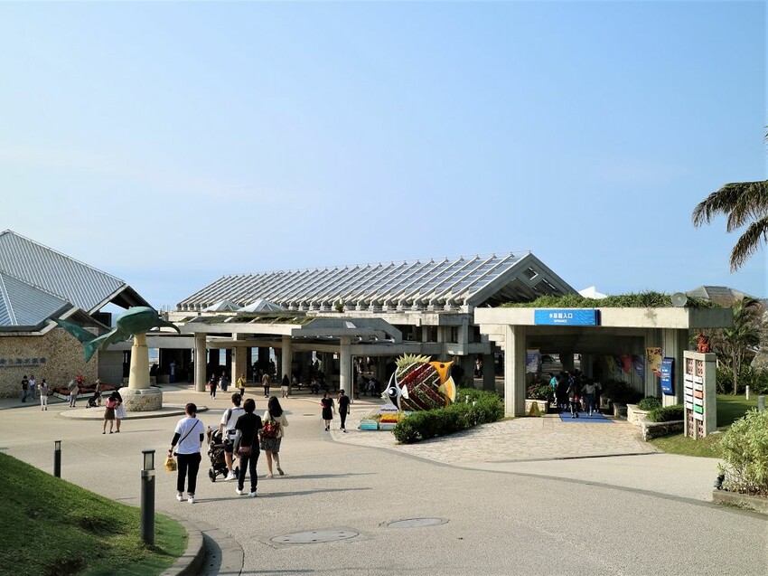 日本海洋博公園-沖繩美麗海水族館(美ら海水族館):必訪黑潮之海大水槽/巨大鯨鯊在你眼前悠游.超壯觀