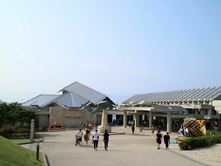 日本海洋博公園-沖繩美麗海水族館(美ら海水族館):必訪黑潮之海大水槽/巨大鯨鯊在你眼前悠游.超壯觀