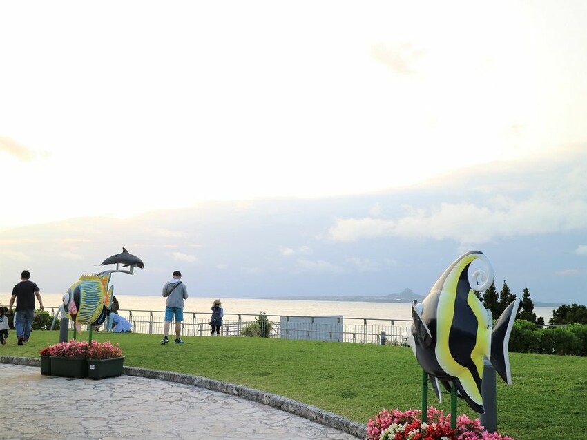 日本海洋博公園-沖繩美麗海水族館(美ら海水族館):必訪黑潮之海大水槽/巨大鯨鯊在你眼前悠游.超壯觀