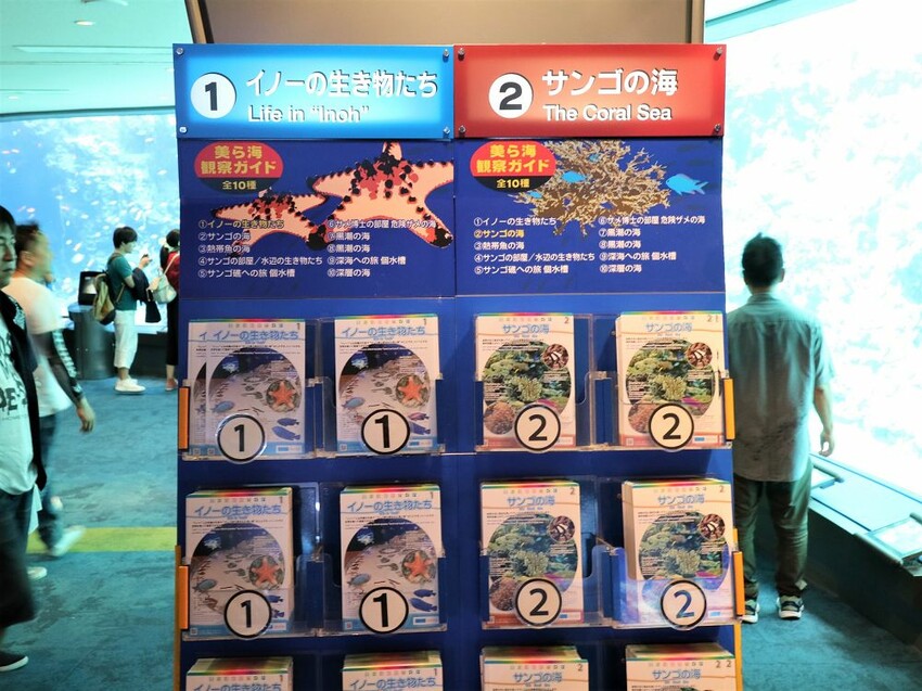 日本海洋博公園-沖繩美麗海水族館(美ら海水族館):必訪黑潮之海大水槽/巨大鯨鯊在你眼前悠游.超壯觀