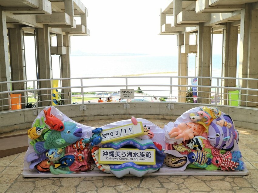 日本海洋博公園-沖繩美麗海水族館(美ら海水族館):必訪黑潮之海大水槽/巨大鯨鯊在你眼前悠游.超壯觀