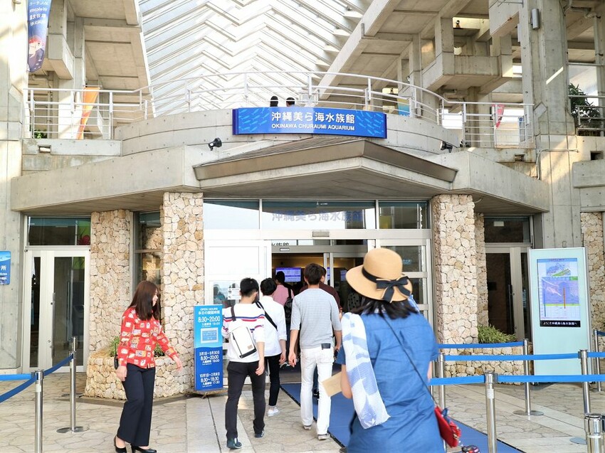 日本海洋博公園-沖繩美麗海水族館(美ら海水族館):必訪黑潮之海大水槽/巨大鯨鯊在你眼前悠游.超壯觀