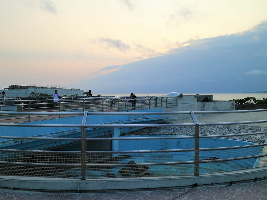 日本海洋博公園-沖繩美麗海水族館(美ら海水族館):必訪黑潮之海大水槽/巨大鯨鯊在你眼前悠游.超壯觀