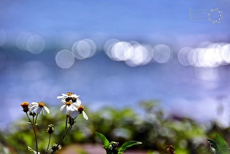 大里海岸 大里海岸
