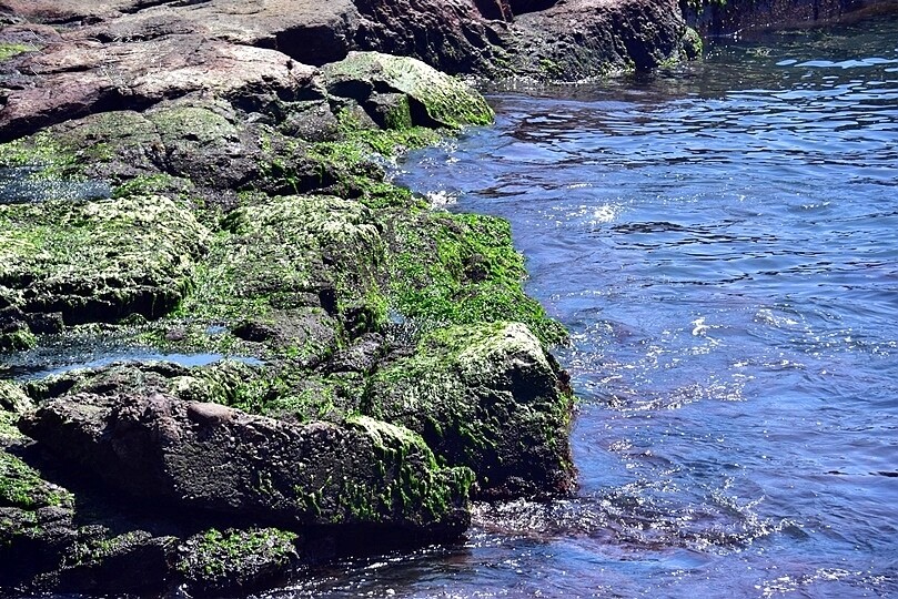 大里漁港 大里漁港