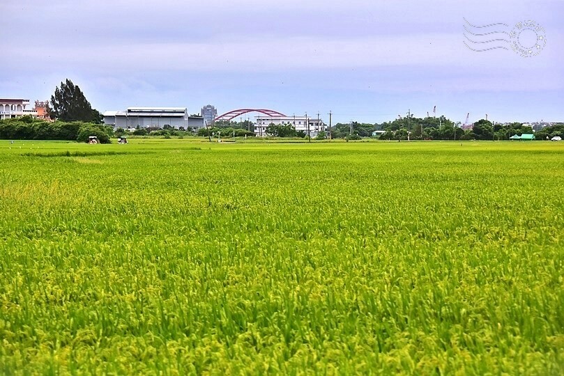 冬山三奇美徑伯朗大道