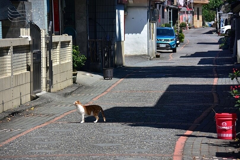 大里老街 大里老街