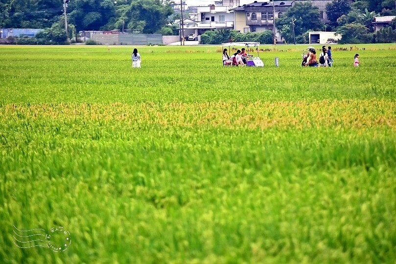 冬山三奇美徑伯朗大道