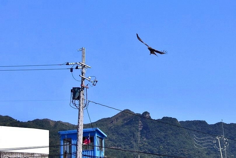 大里漁港 大里漁港