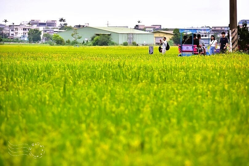 冬山三奇美徑伯朗大道