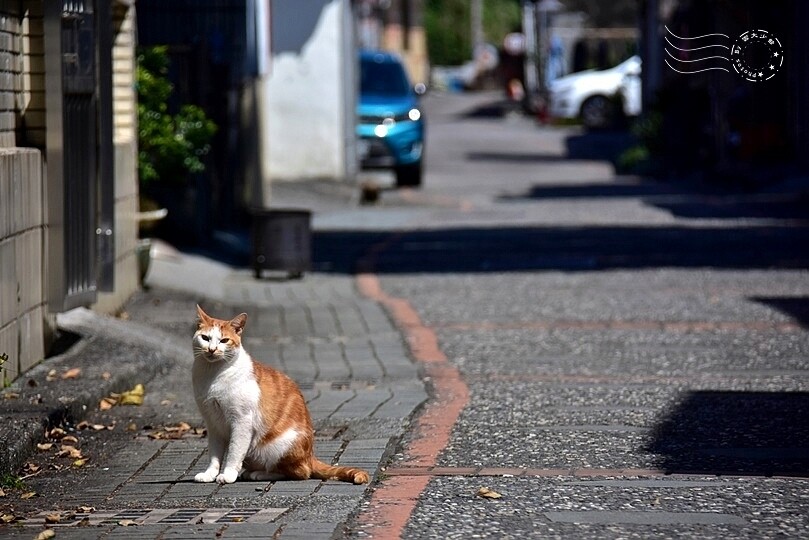 大里老街 大里老街