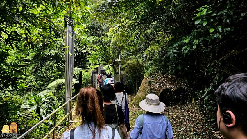 台北市北投區陽明山藍寶石湧泉秘境開箱，神秘的藍寶石泉水除了看還能直接喝!? 如何前往秘境?快看文章介紹吧!