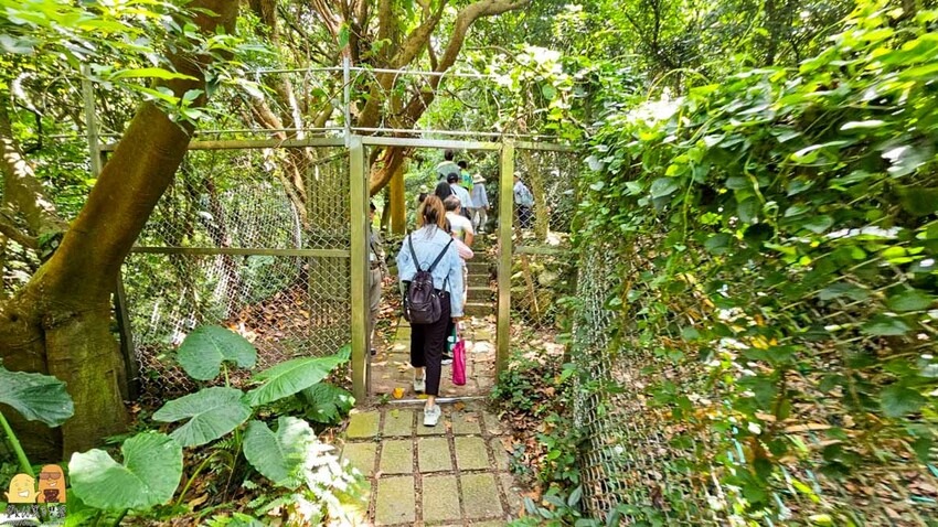 台北市北投區陽明山藍寶石湧泉秘境開箱，神秘的藍寶石泉水除了看還能直接喝!? 如何前往秘境?快看文章介紹吧!