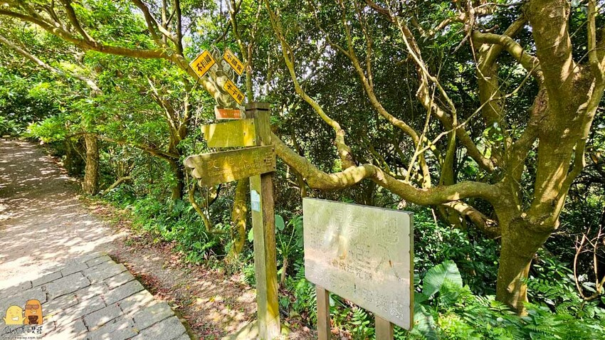 台北市北投區陽明山藍寶石湧泉秘境開箱，神秘的藍寶石泉水除了看還能直接喝!? 如何前往秘境?快看文章介紹吧!