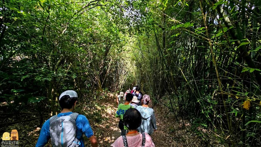 台北市北投區陽明山藍寶石湧泉秘境開箱，神秘的藍寶石泉水除了看還能直接喝!? 如何前往秘境?快看文章介紹吧!