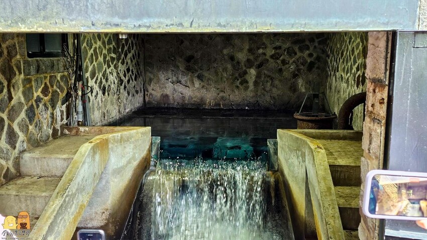 台北市北投區陽明山藍寶石湧泉秘境開箱，神秘的藍寶石泉水除了看還能直接喝!? 如何前往秘境?快看文章介紹吧!