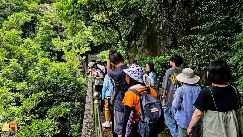台北市北投區陽明山藍寶石湧泉秘境開箱，神秘的藍寶石泉水除了看還能直接喝!? 如何前往秘境?快看文章介紹吧!