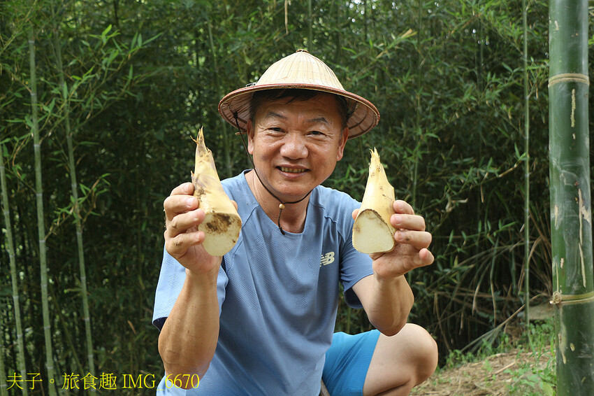 觀音山 採筍體驗 X 硬漢嶺登高賞夜景
