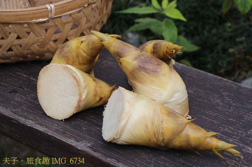 觀音山 採筍體驗 X 硬漢嶺登高賞夜景