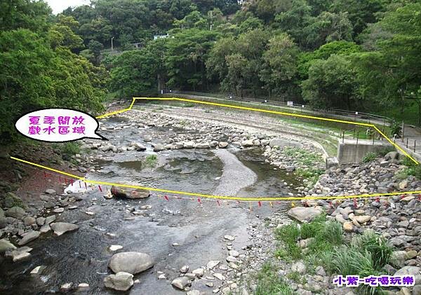 桃園賞花景點/北橫繡球花【陽光休閒農莊健康筍】季節限定繡球花