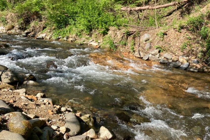 日本【日本長野BaCo度假村 水上校園豪華露營】日本優質露營推薦,山上釣魚不是夢!AsiaYo會員專屬優惠