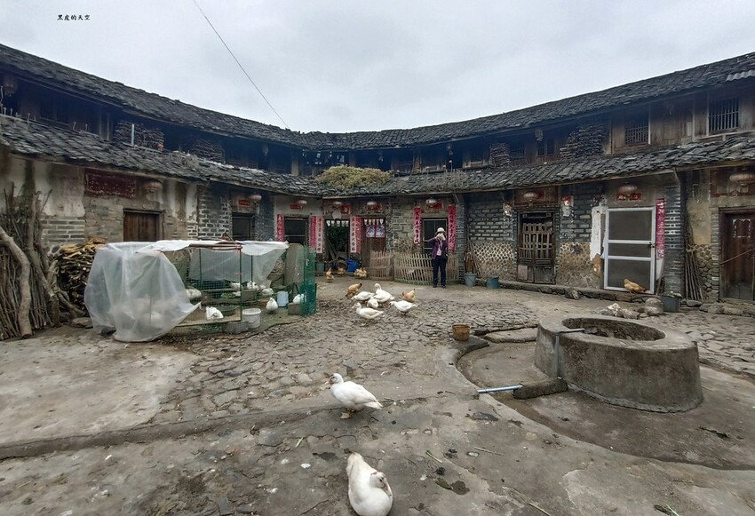 2024 0121廣東饒平土樓群一日遊005