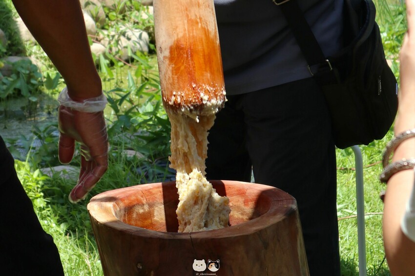 臺中霧峰一日遊景點推薦｜原流新創聚落．【南島饗宴一日套票-精